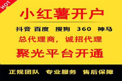 某电商平台的SEM推广策略及效果分析